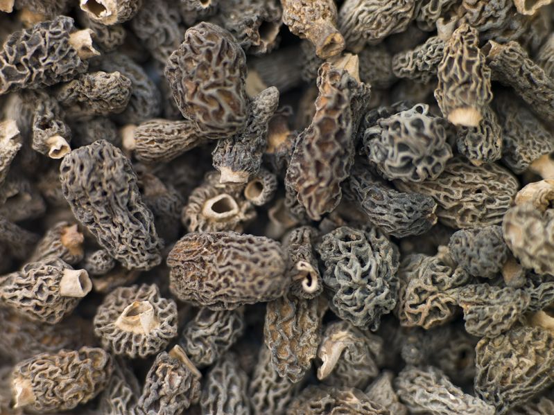*Yukon Wild Morel Seasoning The Twisted Gourmet